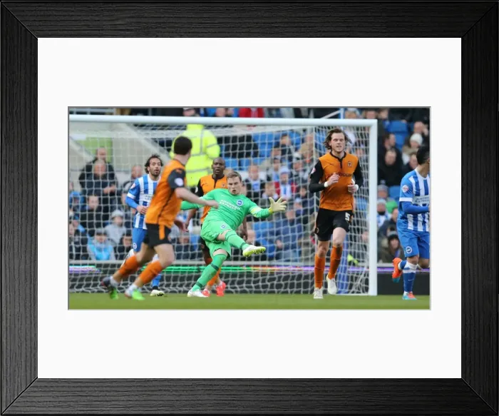 Framed Print : David Stockdale in Action: Brighton & Hove Albion vs. Wolverhampton Wanderers (14MAR15) Framed Print : David Stockdale in Action: Brighton & Hove Albion vs. Wolverhampton Wanderers (14MAR15)