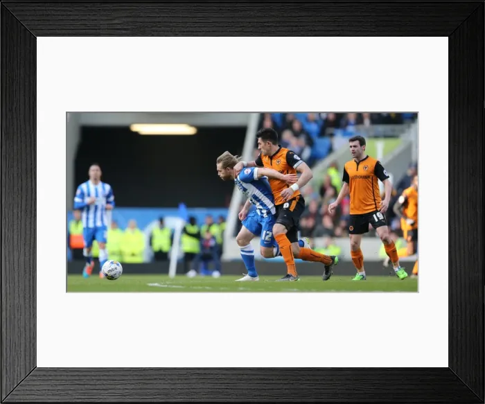Framed Print : Brighton & Hove Albion's Craig Mackail-Smith Fights for Goal Against Wolverhampton Wanderers in Championship Clash, March 2015 Framed Print : Brighton & Hove Albion's Craig Mackail-Smith Fights for Goal Against Wolverhampton Wanderers in Championship Clash, March 2015