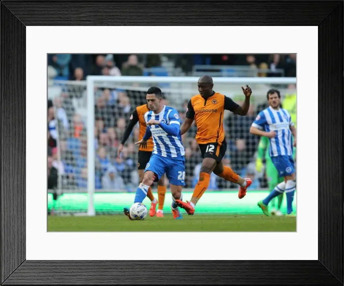 Framed Print : Brighton's Beram Kayal Fights for Possession Against Wolverhampton Wanderers in 2015 Championship Clash Framed Print : Brighton's Beram Kayal Fights for Possession Against Wolverhampton Wanderers in 2015 Championship Clash