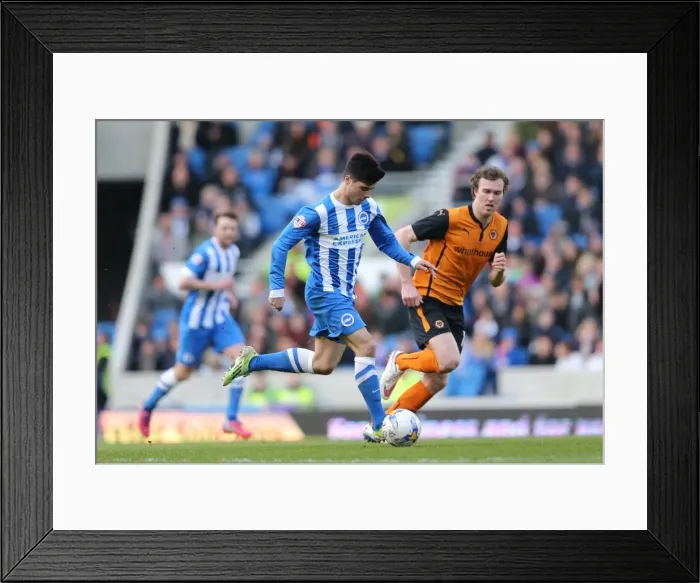 Framed Print : Joao Carlos Teixeira in Action: Brighton Midfielder Fights for Possession against Wolverhampton Wanderers, Sky Bet Championship 2015 Framed Print : Joao Carlos Teixeira in Action: Brighton Midfielder Fights for Possession against Wolverhampton Wanderers, Sky Bet Championship 2015