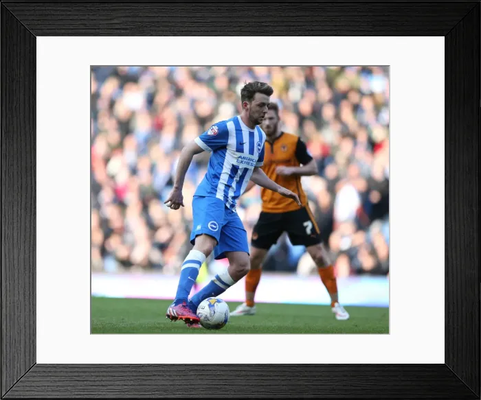 Framed Print : Dale Stephens in Action: Brighton and Hove Albion vs. Wolverhampton Wanderers, Sky Bet Championship 2015 Framed Print : Dale Stephens in Action: Brighton and Hove Albion vs. Wolverhampton Wanderers, Sky Bet Championship 2015