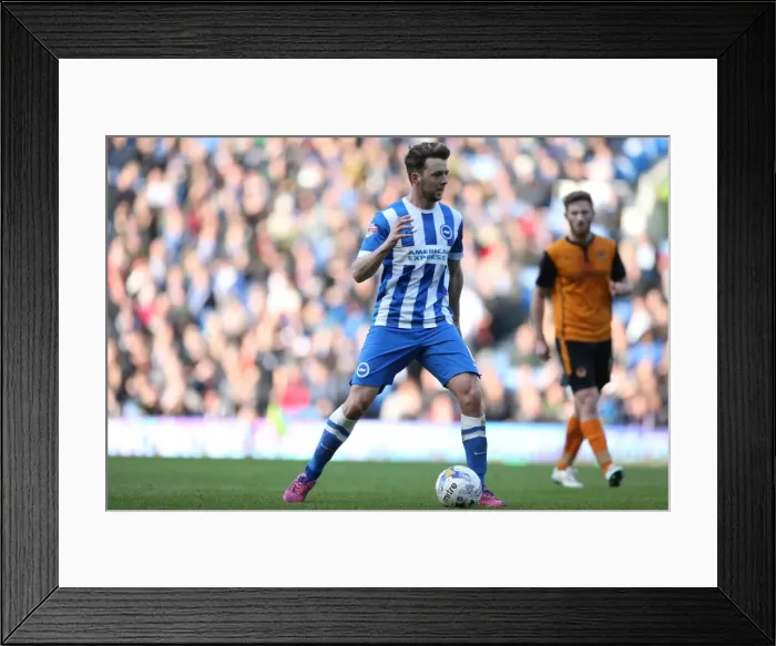 Framed Print : Brighton & Hove Albion's Dale Stephens in Action Against Wolverhampton Wanderers, Sky Bet Championship 2015 Framed Print : Brighton & Hove Albion's Dale Stephens in Action Against Wolverhampton Wanderers, Sky Bet Championship 2015