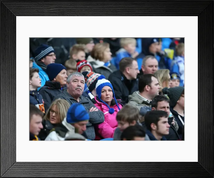 Framed Print : Sea of Seagulls: Brighton and Hove Albion vs. Wolverhampton Wanderers in the Championship (14MAR15) Framed Print : Sea of Seagulls: Brighton and Hove Albion vs. Wolverhampton Wanderers in the Championship (14MAR15)