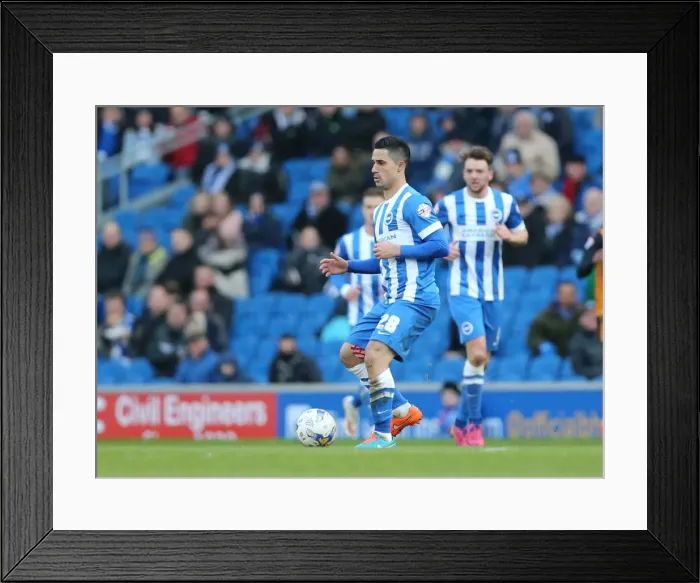 Framed Print : Beram Kayal in Action: Brighton Midfielder Fights for Possession against Wolverhampton Wanderers, Championship Match, American Express Community Stadium (March 14, 2015) Framed Print : Beram Kayal in Action: Brighton Midfielder Fights for Possession against Wolverhampton Wanderers, Championship Match, American Express Community Stadium (March 14, 2015)