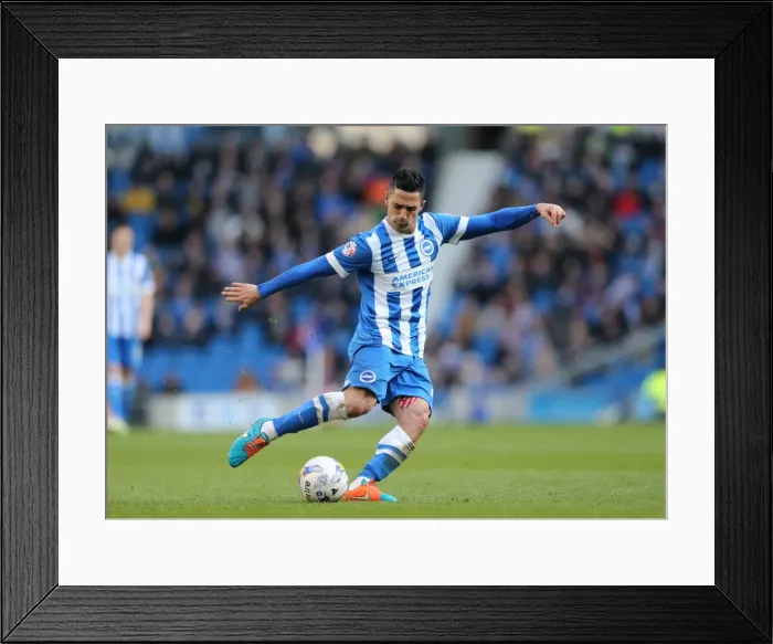 Framed Print : Brighton Midfielder Beram Kayal in Action Against Wolverhampton Wanderers (2015) Framed Print : Brighton Midfielder Beram Kayal in Action Against Wolverhampton Wanderers (2015)