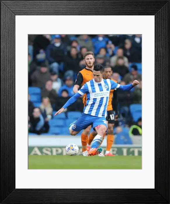 Framed Print : Brighton's Beram Kayal Battles in the Midfield Against Wolverhampton Wanderers, Championship 2015 Framed Print : Brighton's Beram Kayal Battles in the Midfield Against Wolverhampton Wanderers, Championship 2015
