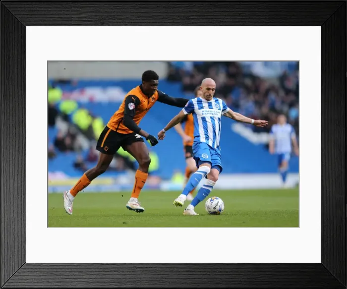 Framed Print : Bruno Saltor in Action: Brighton and Hove Albion vs. Wolverhampton Wanderers, Sky Bet Championship Clash (14March2015) Framed Print : Bruno Saltor in Action: Brighton and Hove Albion vs. Wolverhampton Wanderers, Sky Bet Championship Clash (14March2015)