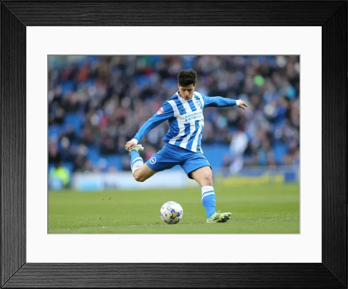 Framed Print : Brighton & Hove Albion vs. Wolverhampton Wanderers: Joao Carlos Teixeira's Intense Midfield Battle in Sky Bet Championship 2015 Framed Print : Brighton & Hove Albion vs. Wolverhampton Wanderers: Joao Carlos Teixeira's Intense Midfield Battle in Sky Bet Championship 2015