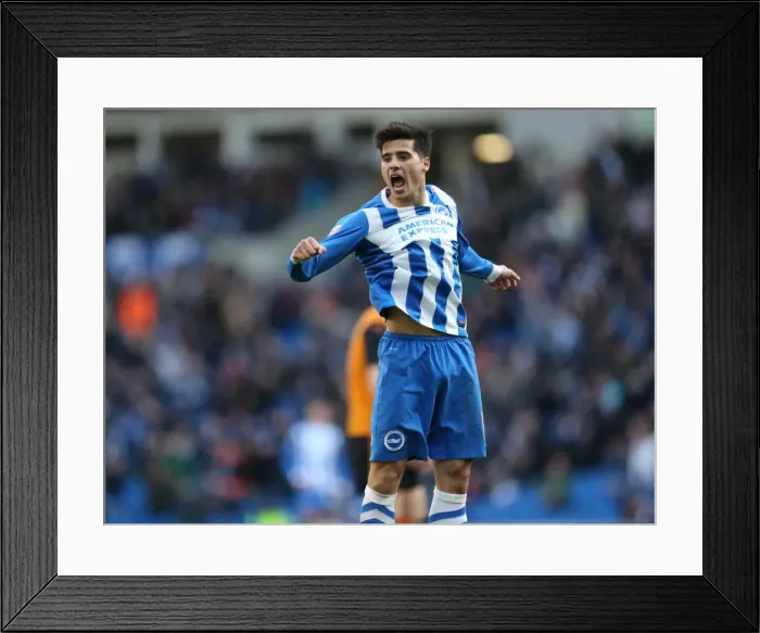 Framed Print : Brighton Midfielder Teixeira's Disallowed Goal Celebration vs. Wolverhampton Wanderers (2015) Framed Print : Brighton Midfielder Teixeira's Disallowed Goal Celebration vs. Wolverhampton Wanderers (2015)