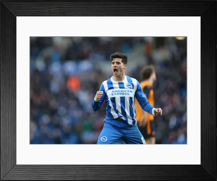 Framed Print : Disallowed Goal: Teixeira's Controversial Celebration vs. Wolverhampton Wanderers (2015) Framed Print : Disallowed Goal: Teixeira's Controversial Celebration vs. Wolverhampton Wanderers (2015)