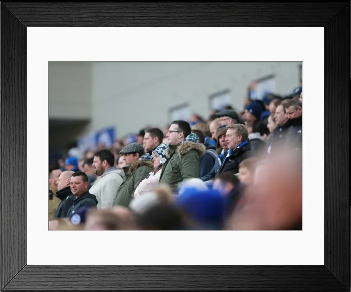 Framed Print : Brighton and Hove Albion Fans in Action: Sky Bet Championship Showdown vs. Wolverhampton Wanderers (14MAR15) Framed Print : Brighton and Hove Albion Fans in Action: Sky Bet Championship Showdown vs. Wolverhampton Wanderers (14MAR15)