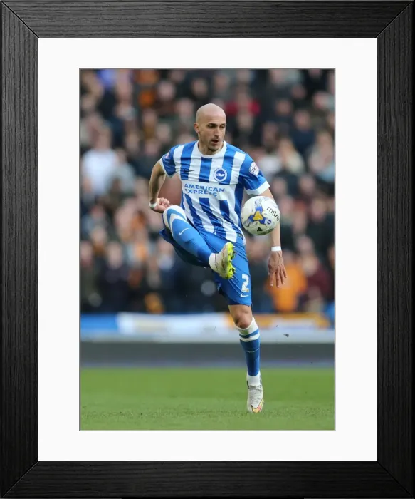 Framed Print : Brighton & Hove Albion vs. Wolverhampton Wanderers: Bruno Saltor in Action - Sky Bet Championship 2015 Framed Print : Brighton & Hove Albion vs. Wolverhampton Wanderers: Bruno Saltor in Action - Sky Bet Championship 2015