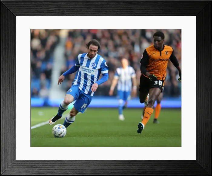 Framed Print : Brighton & Hove Albion vs. Wolverhampton Wanderers: Inigo Calderon's Action-Packed Performance in the Sky Bet Championship Clash (14 March 2015) Framed Print : Brighton & Hove Albion vs. Wolverhampton Wanderers: Inigo Calderon's Action-Packed Performance in the Sky Bet Championship Clash (14 March 2015)