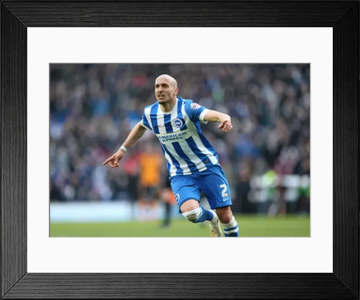 Framed Print : Bruno Saltor's Stunning Goal: Brighton Defender Stuns Wolverhampton Wanderers (14MAR15) Framed Print : Bruno Saltor's Stunning Goal: Brighton Defender Stuns Wolverhampton Wanderers (14MAR15)
