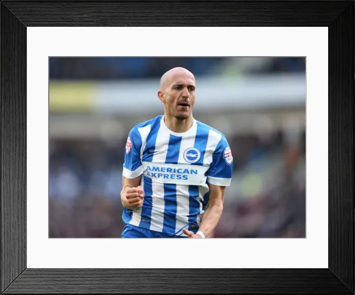 Framed Print : Bruno Saltor's Stunning Goal: Brighton Defender Stuns Wolverhampton Wanderers in Championship Match (14MAR15) Framed Print : Bruno Saltor's Stunning Goal: Brighton Defender Stuns Wolverhampton Wanderers in Championship Match (14MAR15)