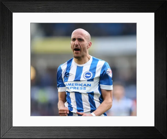 Framed Print : Bruno Saltor's Stunning Goal: Brighton Defender Stuns Wolverhampton Wanderers (14MAR15) Framed Print : Bruno Saltor's Stunning Goal: Brighton Defender Stuns Wolverhampton Wanderers (14MAR15)