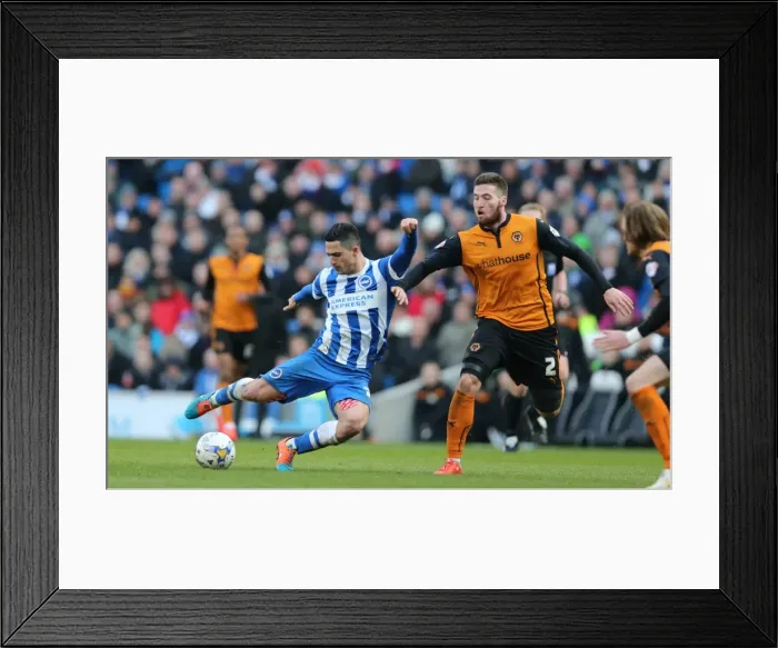 Framed Print : Brighton Midfielder Beram Kayal Fires a Shot Against Wolverhampton Wanderers in Sky Bet Championship Match Framed Print : Brighton Midfielder Beram Kayal Fires a Shot Against Wolverhampton Wanderers in Sky Bet Championship Match