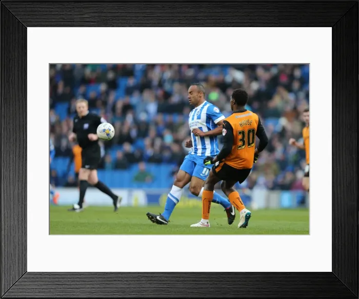 Framed Print : Chris O'Grady in Action: Brighton and Hove Albion vs. Wolverhampton Wanderers, Sky Bet Championship 2015 (American Express Community Stadium) Framed Print : Chris O'Grady in Action: Brighton and Hove Albion vs. Wolverhampton Wanderers, Sky Bet Championship 2015 (American Express Community Stadium)