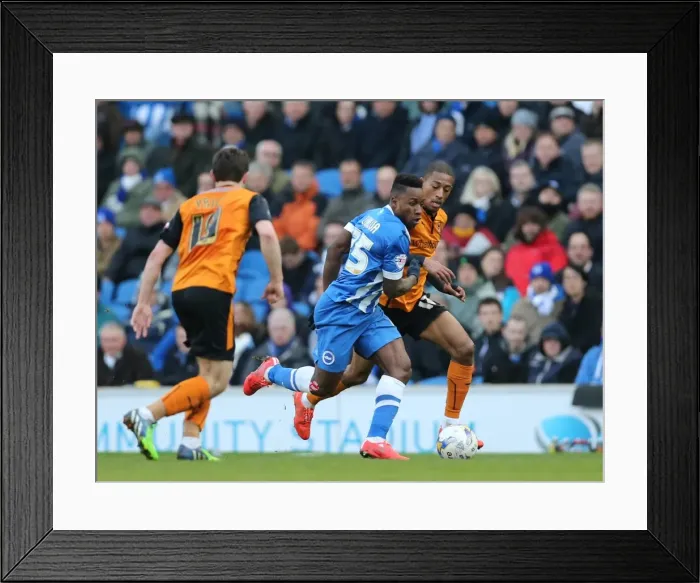 Framed Print : Brighton's LuaLua in Action: Brighton and Hove Albion vs. Wolverhampton Wanderers, Sky Bet Championship, 14th March 2015 Framed Print : Brighton's LuaLua in Action: Brighton and Hove Albion vs. Wolverhampton Wanderers, Sky Bet Championship, 14th March 2015