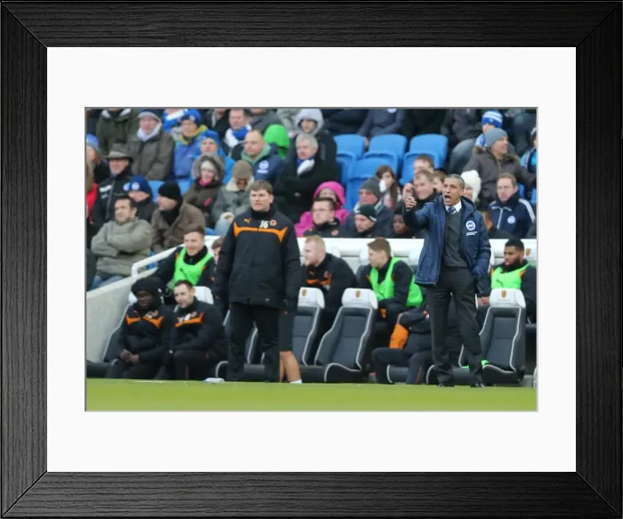 Framed Print : Chris Hughton Guides Brighton and Hove Albion vs. Wolverhampton Wanderers, March 2015 Framed Print : Chris Hughton Guides Brighton and Hove Albion vs. Wolverhampton Wanderers, March 2015