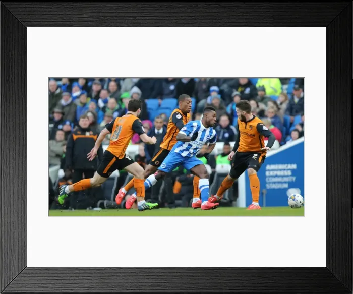 Framed Print : Brighton's LuaLua in Action: Championship Clash - Brighton & Hove Albion vs. Wolverhampton Wanderers (March 2015) Framed Print : Brighton's LuaLua in Action: Championship Clash - Brighton & Hove Albion vs. Wolverhampton Wanderers (March 2015)