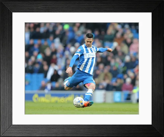 Framed Print : Brighton's Beram Kayal Fires Determined Shot Against Wolverhampton Wanderers in Sky Bet Championship Clash, March 2015 Framed Print : Brighton's Beram Kayal Fires Determined Shot Against Wolverhampton Wanderers in Sky Bet Championship Clash, March 2015