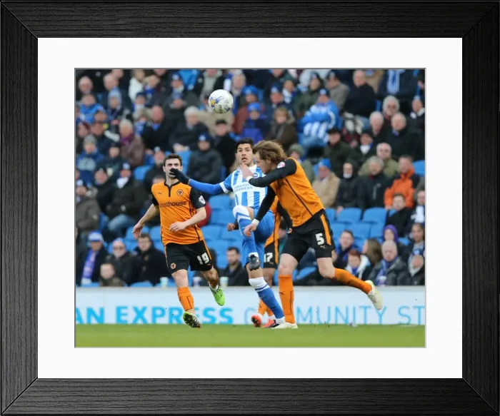Framed Print : Brighton & Hove Albion vs. Wolverhampton Wanderers: Emmanuel Ledesma in Action - Sky Bet Championship 2015 Framed Print : Brighton & Hove Albion vs. Wolverhampton Wanderers: Emmanuel Ledesma in Action - Sky Bet Championship 2015