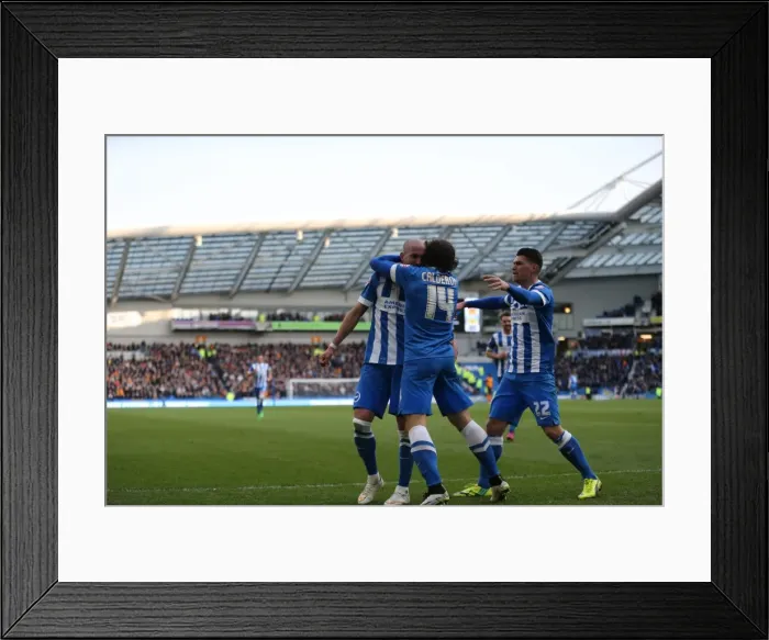 Framed Print : Bruno Saltor's Stunning Goal: Brighton Defender Stuns Wolverhampton Wanderers (14MAR15) Framed Print : Bruno Saltor's Stunning Goal: Brighton Defender Stuns Wolverhampton Wanderers (14MAR15)
