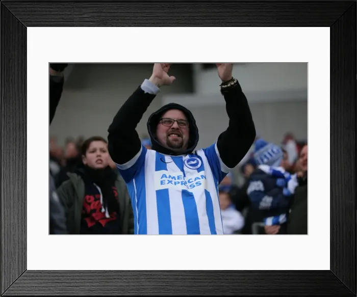 Framed Print : Passionate Brighton & Hove Albion Fans in Action at the American Express Community Stadium vs. Wolverhampton Wanderers (14 March 2015) Framed Print : Passionate Brighton & Hove Albion Fans in Action at the American Express Community Stadium vs. Wolverhampton Wanderers (14 March 2015)