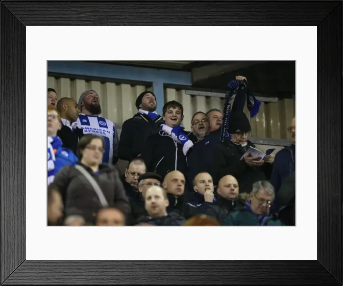 Framed Print : Brighton and Hove Albion Fans in Full Force: A Sea of Colors at the Millwall Championship Match (17MAR15) Framed Print : Brighton and Hove Albion Fans in Full Force: A Sea of Colors at the Millwall Championship Match (17MAR15)
