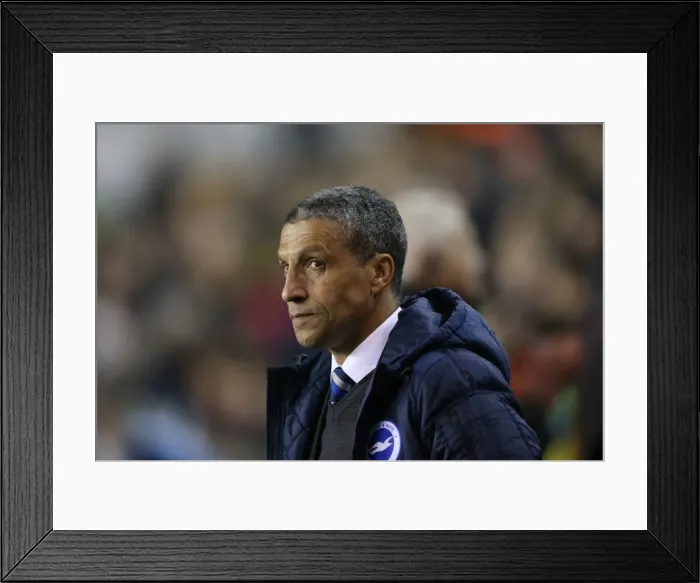 Framed Print : Chris Hughton Leads Brighton and Hove Albion in Sky Bet Championship Clash against Millwall (17MAR15) Framed Print : Chris Hughton Leads Brighton and Hove Albion in Sky Bet Championship Clash against Millwall (17MAR15)