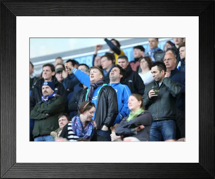 Framed Print : Brighton and Hove Albion Fans in Full Force: Sky Bet Championship Match vs. Blackburn Rovers (21st March 2015) Framed Print : Brighton and Hove Albion Fans in Full Force: Sky Bet Championship Match vs. Blackburn Rovers (21st March 2015)