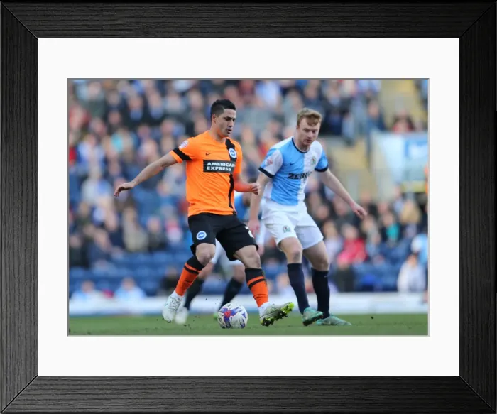 Framed Print : Brighton's Kayal Fights for Possession Against Blackburn Rovers (21MAR15)