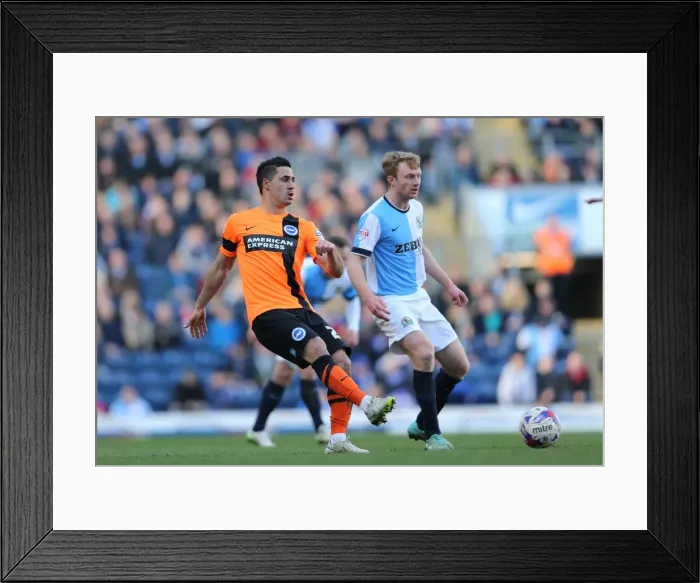 Framed Print : Brighton's Kayal in Action against Blackburn Rovers (21MAR15) Framed Print : Brighton's Kayal in Action against Blackburn Rovers (21MAR15)