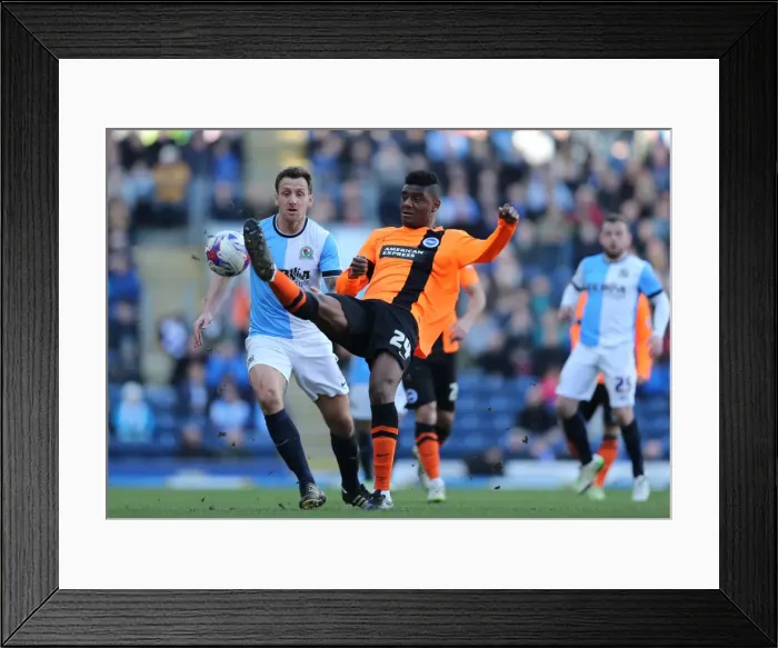 Framed Print : Brighton's Rohan Ince in Action against Blackburn Rovers, Sky Bet Championship 2015 Framed Print : Brighton's Rohan Ince in Action against Blackburn Rovers, Sky Bet Championship 2015
