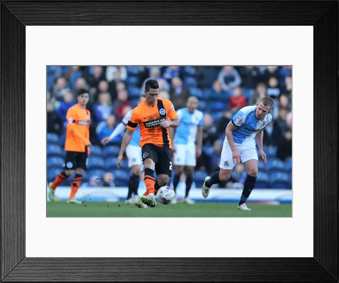Framed Print : Brighton's Kayal in Action against Blackburn Rovers, Championship 2015 Framed Print : Brighton's Kayal in Action against Blackburn Rovers, Championship 2015