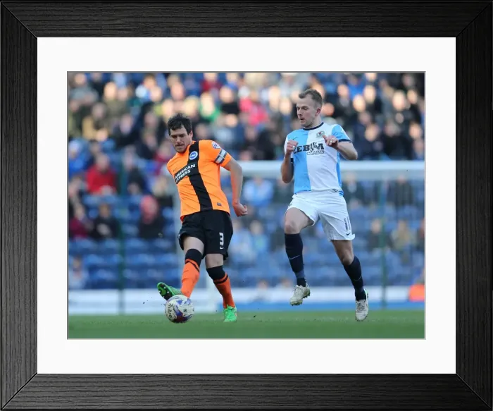 Framed Print : Gordon Greer Leads Brighton and Hove Albion in Championship Clash against Blackburn Rovers (21MAR15) Framed Print : Gordon Greer Leads Brighton and Hove Albion in Championship Clash against Blackburn Rovers (21MAR15)