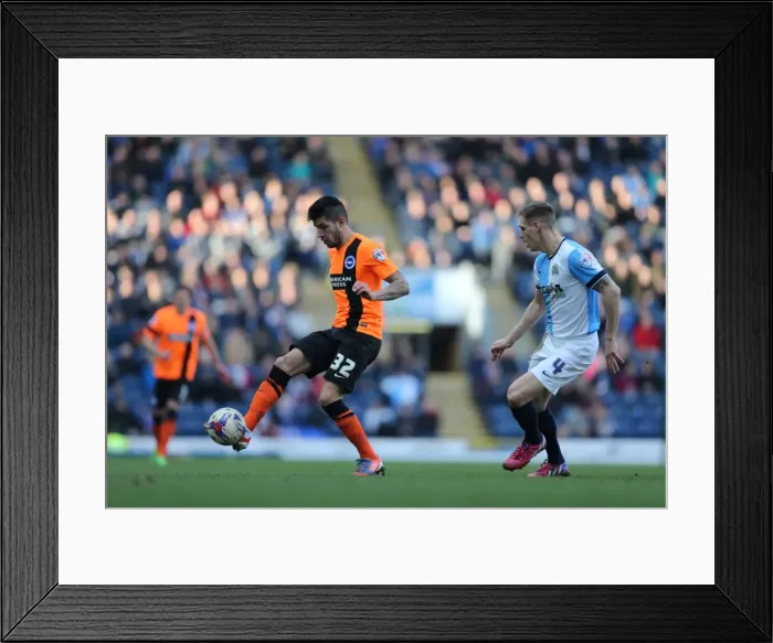 Framed Print : Brighton's Ledesma Fights for Possession Against Blackburn Rovers (21MAR15) Framed Print : Brighton's Ledesma Fights for Possession Against Blackburn Rovers (21MAR15)