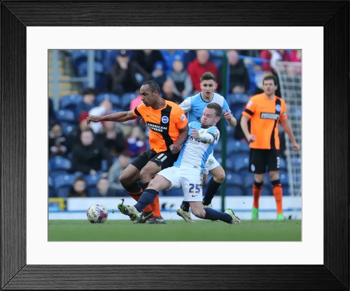 Framed Print : Chris O'Grady vs Jay Spearing: Intense Rivalry in the Sky Bet Championship Clash between Blackburn Rovers and Brighton & Hove Albion (21MAR15) Framed Print : Chris O'Grady vs Jay Spearing: Intense Rivalry in the Sky Bet Championship Clash between Blackburn Rovers and Brighton & Hove Albion (21MAR15)