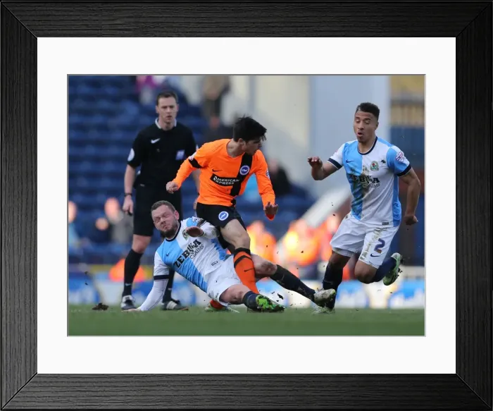 Framed Print : Joao Carlos Teixeira in Action for Brighton against Blackburn Rovers, Sky Bet Championship 2015 Framed Print : Joao Carlos Teixeira in Action for Brighton against Blackburn Rovers, Sky Bet Championship 2015