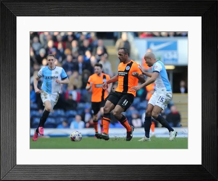 Framed Print : Chris O'Grady in Action: Blackburn Rovers vs. Brighton and Hove Albion, Sky Bet Championship, 21st March 2015 Framed Print : Chris O'Grady in Action: Blackburn Rovers vs. Brighton and Hove Albion, Sky Bet Championship, 21st March 2015