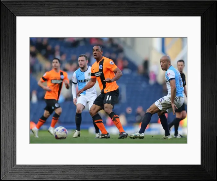 Framed Print : Chris O'Grady in Action: Brighton & Hove Albion vs. Blackburn Rovers, Championship Clash at Ewood Park (21MAR15) Framed Print : Chris O'Grady in Action: Brighton & Hove Albion vs. Blackburn Rovers, Championship Clash at Ewood Park (21MAR15)