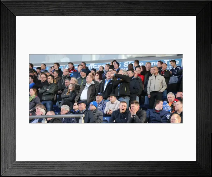 Framed Print : Brighton and Hove Albion Fans Passionate Showdown at Blackburn Rovers (21MAR15) Framed Print : Brighton and Hove Albion Fans Passionate Showdown at Blackburn Rovers (21MAR15)