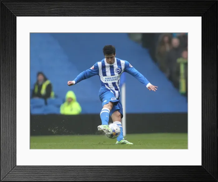 Framed Print : Brighton's Teixeira Unleashes a Shot Against Norwich in Championship Clash, 2015 Framed Print : Brighton's Teixeira Unleashes a Shot Against Norwich in Championship Clash, 2015