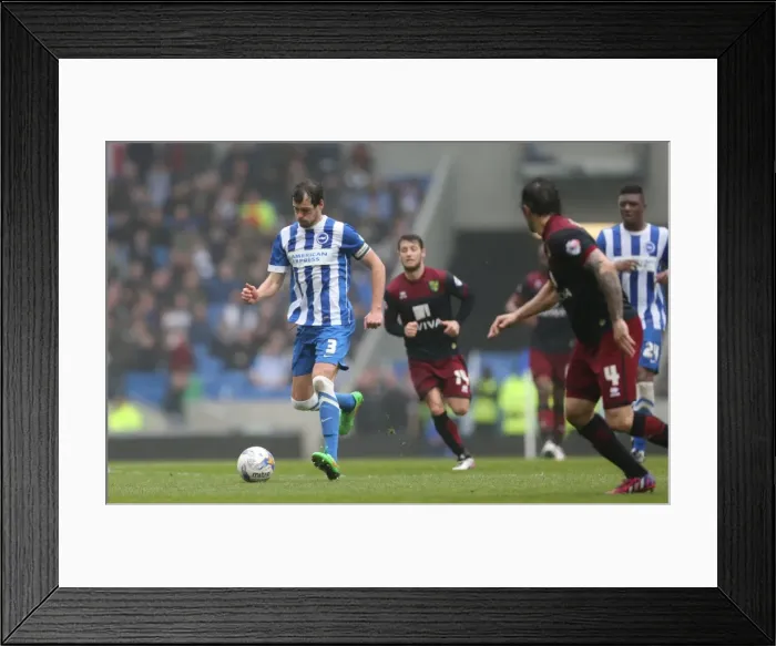 Framed Print : Gordon Greer Leads Brighton and Hove Albion in Championship Battle Against Norwich City (3rd April 2015) Framed Print : Gordon Greer Leads Brighton and Hove Albion in Championship Battle Against Norwich City (3rd April 2015)