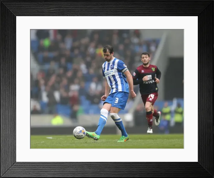 Framed Print : Gordon Greer Leads Brighton and Hove Albion Against Norwich City in Championship Showdown (April 3, 2015) Framed Print : Gordon Greer Leads Brighton and Hove Albion Against Norwich City in Championship Showdown (April 3, 2015)