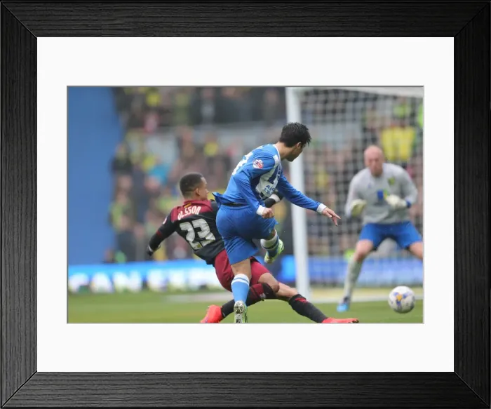 Framed Print : Brighton Midfielder Joao Carlos Teixeira Fires a Shot Against Norwich City - Sky Bet Championship 2015 Framed Print : Brighton Midfielder Joao Carlos Teixeira Fires a Shot Against Norwich City - Sky Bet Championship 2015