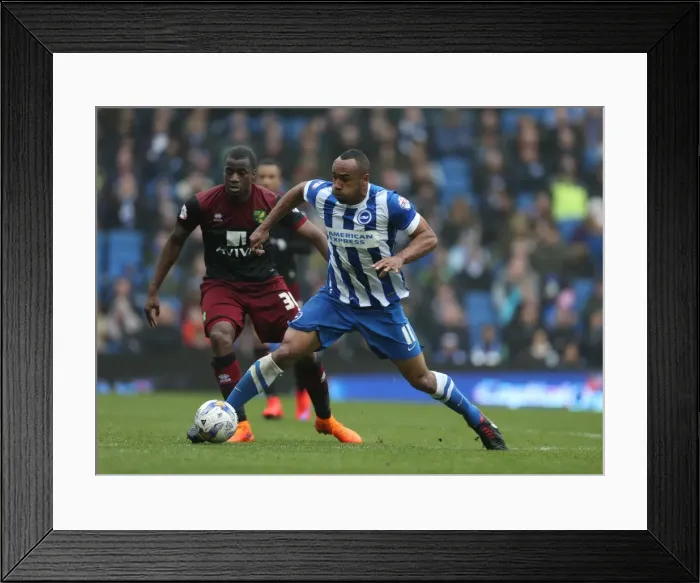 Framed Print : Chris O'Grady in Action: Brighton & Hove Albion vs. Norwich City, Sky Bet Championship, American Express Community Stadium, 3rd April 2015 Framed Print : Chris O'Grady in Action: Brighton & Hove Albion vs. Norwich City, Sky Bet Championship, American Express Community Stadium, 3rd April 2015
