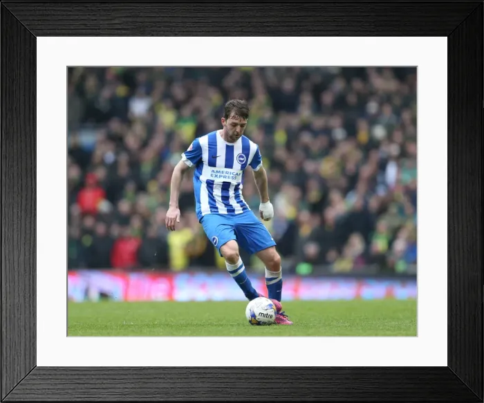 Framed Print : Dale Stephens in Action: Brighton and Hove Albion vs. Norwich City, Sky Bet Championship, American Express Community Stadium, 3rd April 2015 Framed Print : Dale Stephens in Action: Brighton and Hove Albion vs. Norwich City, Sky Bet Championship, American Express Community Stadium, 3rd April 2015