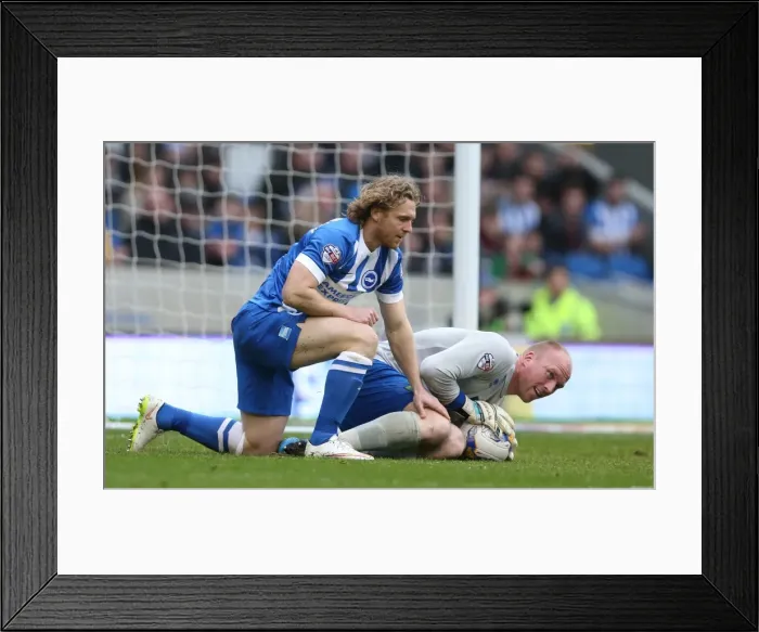 Framed Print : Craig Mackail-Smith Scores: Brighton & Hove Albion vs Norwich City in Championship Clash at American Express Community Stadium (03APR15) Framed Print : Craig Mackail-Smith Scores: Brighton & Hove Albion vs Norwich City in Championship Clash at American Express Community Stadium (03APR15)